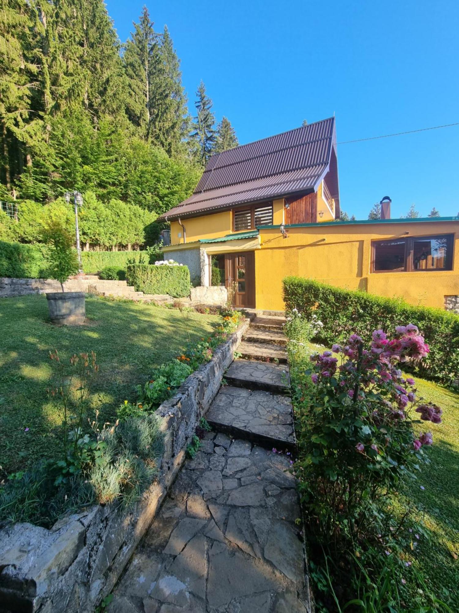 Green Forest Vlašić Exterior foto